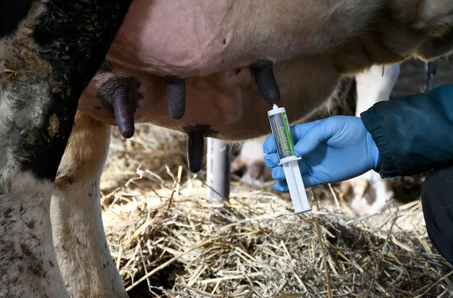 duomast-c-srodek-prewencyjny-na-mastitis-25-sztuk