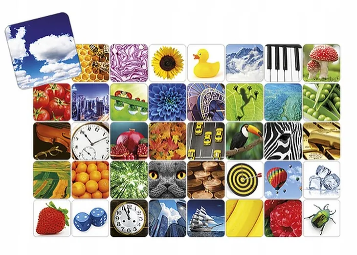 memory-super-pamiec-material-karton