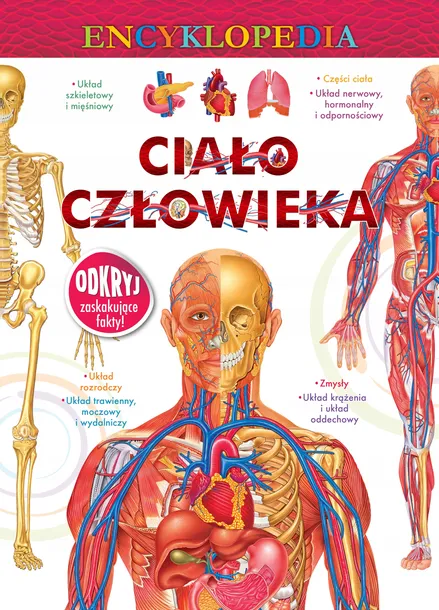 encyklopedia-dla-dzieci-przedzial-wiekowy-dla-najmlodszych-0-2-lata-dla-przedszkolakow-3-5-lat-dla-dzieci-z-klas-i-iii-6-9-lat-dla-dzieci-z-klas-iv-vi-10-12-lat