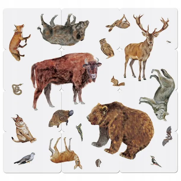 karty-montessori-zoo-jezyk-polski