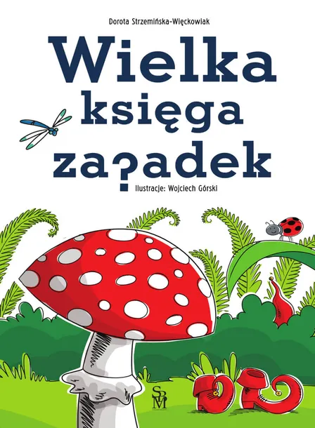 wielka-ksiega-zagadek-bohater-brak