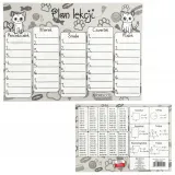 plan-lekcji-a5-brytyjczyk-25szt-stan-nowy