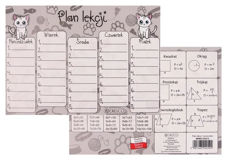 plan-lekcji-a5-brytyjczyk-25szt-marka-cresco