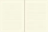 notatnik-mini-koty-peter-pauper-press-rodzaj-notes