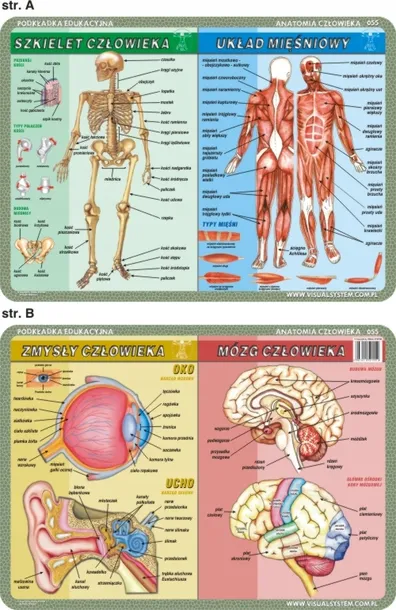 podkladka-edu-062-polska-mapy-stan-nowy-marka-visual-system