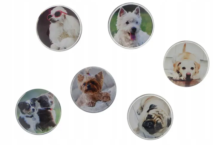 magnesy-szklane-do-tablic-psy-przeznaczenie-mocowanie-notatek