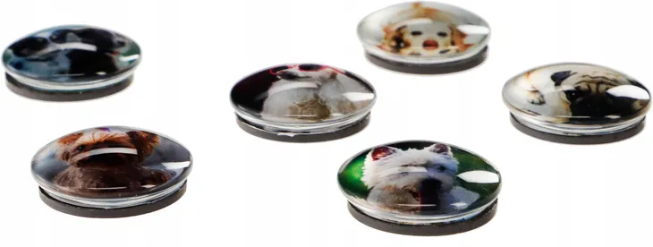 magnesy-szklane-do-tablic-psy-liczba-sztuk-w-opakowaniu-6-szt