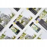 pastele-olejne-oxford-artistic-12-kolorow-kod-producenta-400184262
