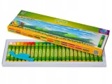 pastele-olejowe-24-kolory-cricco-marka-cricco