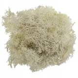 mech-chrobotek-bezowy-20g-szerokosc-produktu-14-6-cm