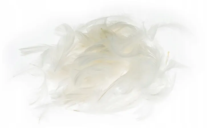 piora-biale-5-12cm-7g-kolor-bialy