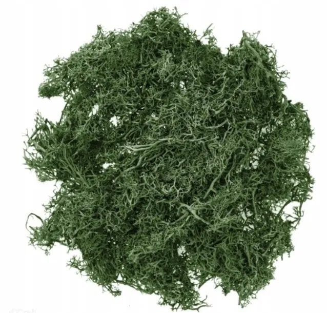 mech-ciemnozielony-30g-wysokosc-produktu-20-cm