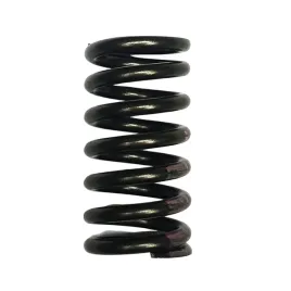 sprezyna-zaworu-vw-golf-98-scirocco-09-vag-036109623r