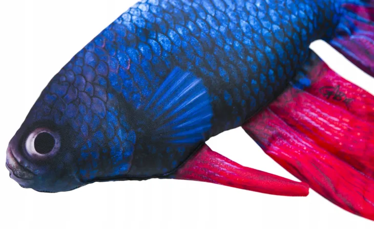 maskotka-poduszka-bojownik-gaby-ryba-zabawka-pluszak-przytulanka-na-prezent-plec-chlopcy-dziewczynki-unisex