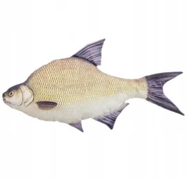 maskotka-poduszka-leszcz-gaby-ryba-zabawka-pluszak-przytulanka-na-prezent