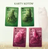 koty-rodzaj-podstawa