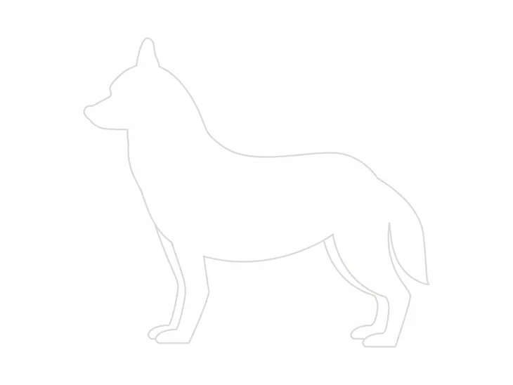 smycz-bespace-l-150-25cm-marka-amiplay