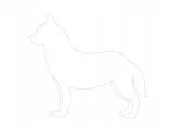 smycz-bespace-l-150-25cm-marka-amiplay