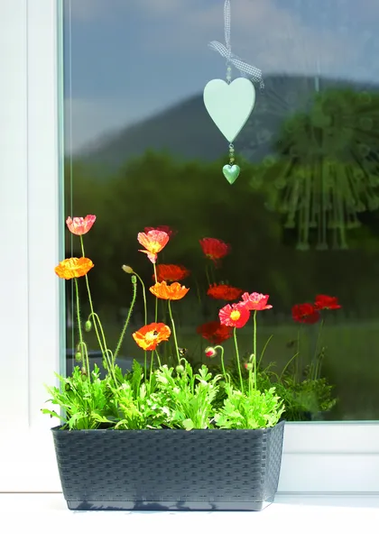 doniczka-prosperplast-ratolla-dl-40-cm-mocca-kod-producenta-drl400p-7529u