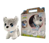 pies-husky-happy-stan-nowy