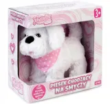 piesek-chodzacy-na-smyczy-natalia-bialy-bohater-brak