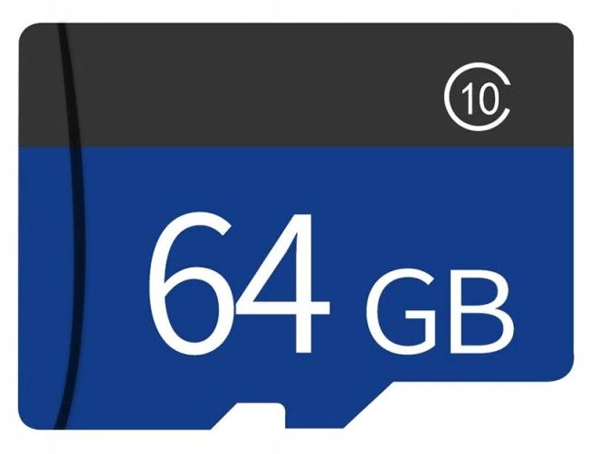 Karta SD 64GB do kamer Fortis