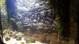 tlo-strukturalne-3d-do-akwarium-na-wymiar