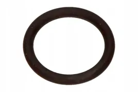 oring-miarki-poziomu-oleju-bmw-3-e46-5-e60-2-0-3-0-98-10-oe