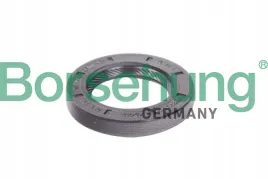 simer-skrz-bieg-vw-golf-02-24x38x6-borsehung-b12191