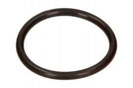 uszczelniacz-swiecy-zaplonowej-bmw-3-e46-x3-e83-16-20-bmw-1137751400