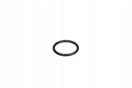 oring-przewodu-ukladu-chlodzenia-bmw-oe
