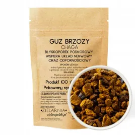 brzoza-guz-chaga-50g-zielarzpolski-pl