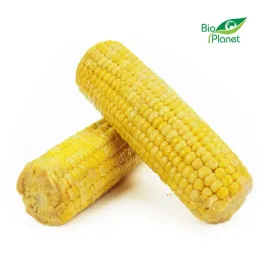 kukurydza-gotowana-bio-okolo-040-kg