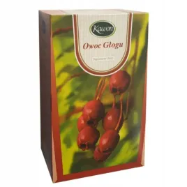kawon-glog-owoc-express-20x3g