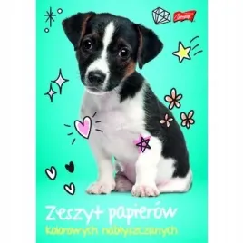 unipap-zeszyt-papierow-kolorowych-nablyszczany-a5-10-kartek