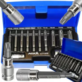 zestaw-bitow-do-obrobionych-srub-torx-t10-t55