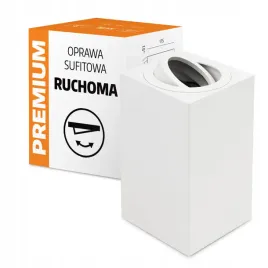 oprawa-sufitowa-natynkowa-spot-ruchoma-plafon