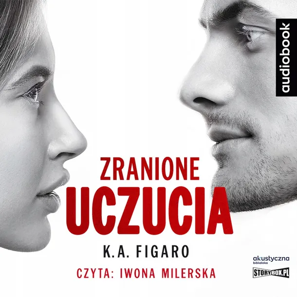 zranione-uczucia-audiobook-tytul-zranione-uczucia-audiobook