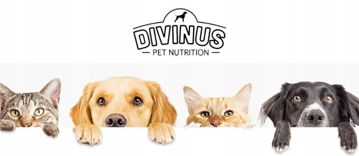 divinus-karma-sucha-kurczak-20-kg-marka-divinus-karmy-specjalne-nie-dotyczy