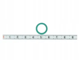 pierscien-pompy-wtr-bosch-1-928-300-719