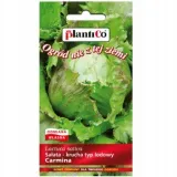 salata-carmina-plantico