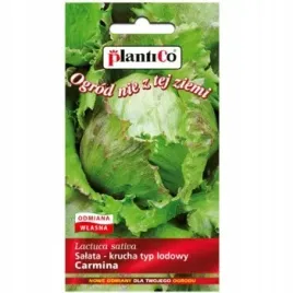 salata-carmina-plantico