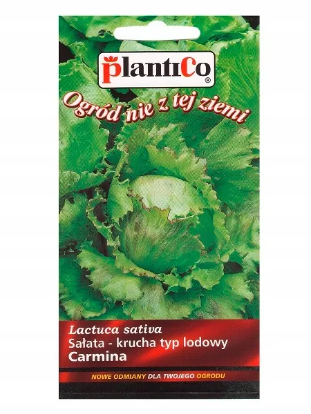 salata-carmina-plantico-styl-ogrod-japonski-ogrod-nowoczesny-ogrod-skalny-ogrod-srodziemnomorski-ogrod-wiejski