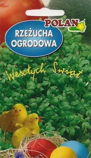 rzezucha-cykl-rozwojowy-rosliny-jednoroczna