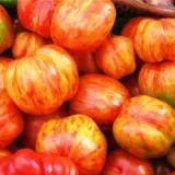 pomidor-gruntowy-tigerella-rodzaj-rosliny-pomidory