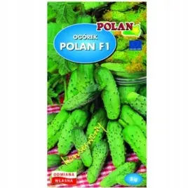 ogorek-gruntowy-polan-mieszaniec