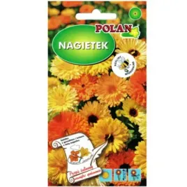 nagietek-lekarski-wysoki-mieszanka