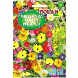 mieszanka-kwiatow-pnaca