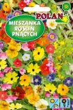 mieszanka-kwiatow-pnaca-rodzaj-rosliny-mieszanka-roslin