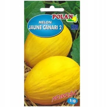 melon-jaune-canari-2